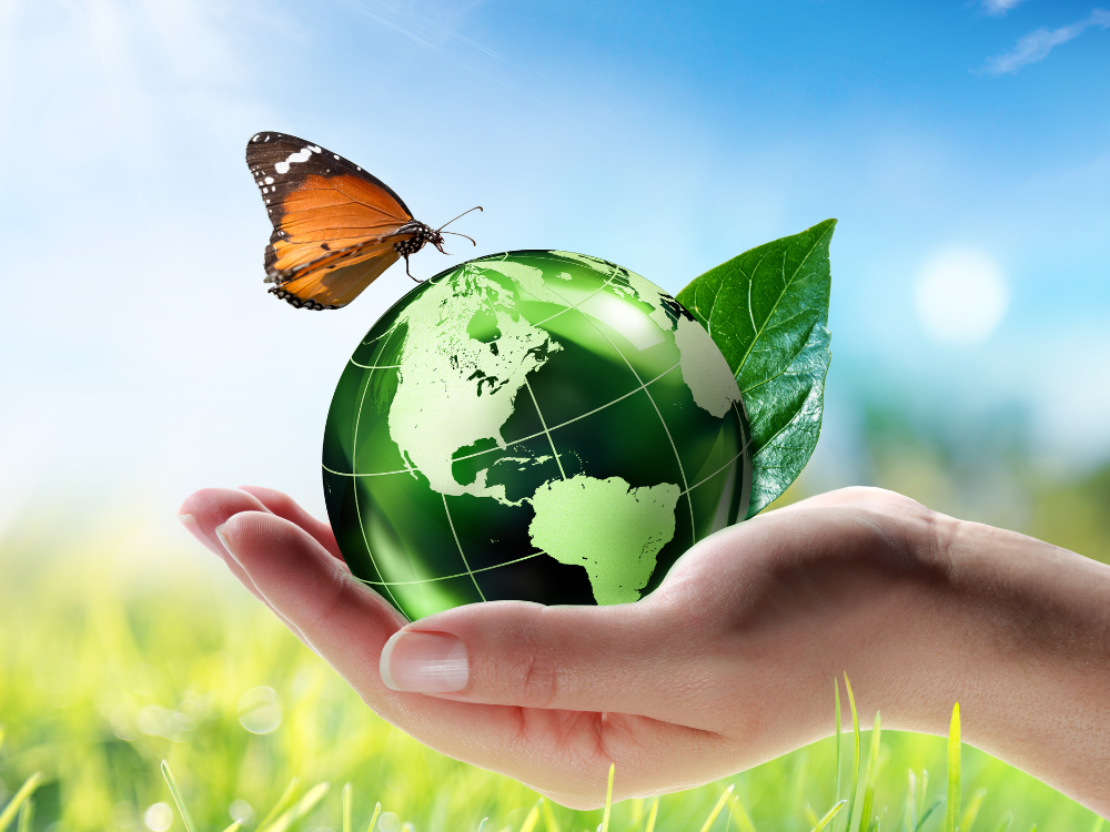 Low-Carbon Delivery: The Complete Guide to Sustainable Shipping in Montreal and Quebec